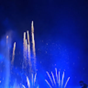 Meet your Posher, Minnie